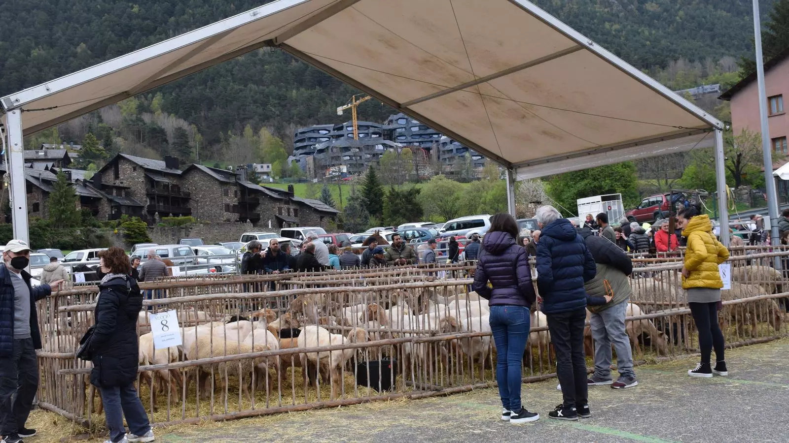 La fira del bestiar d'Ordino que s'ha celebrat aquest cap de setmana a la parròquia.