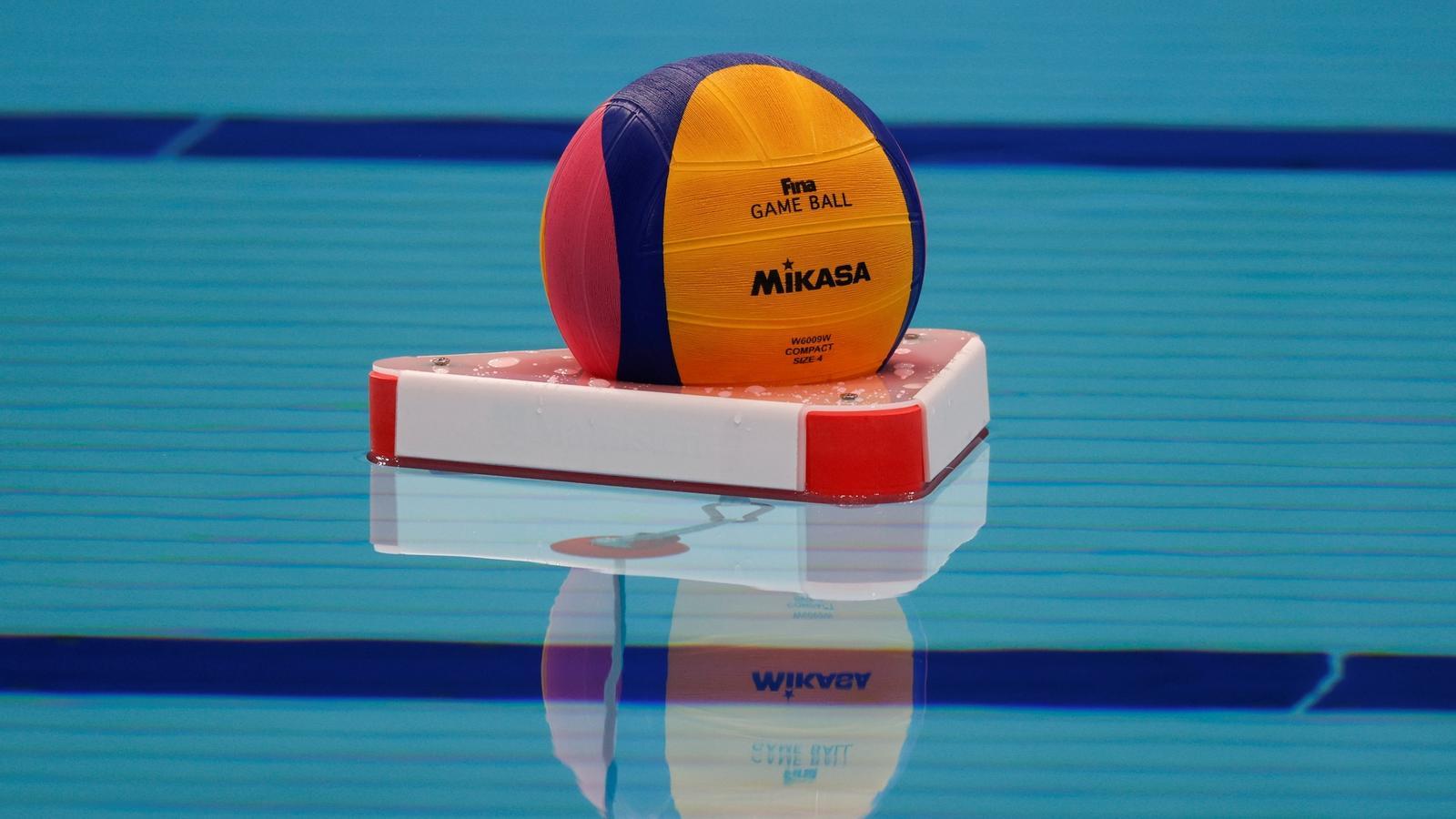 A water polo ball.