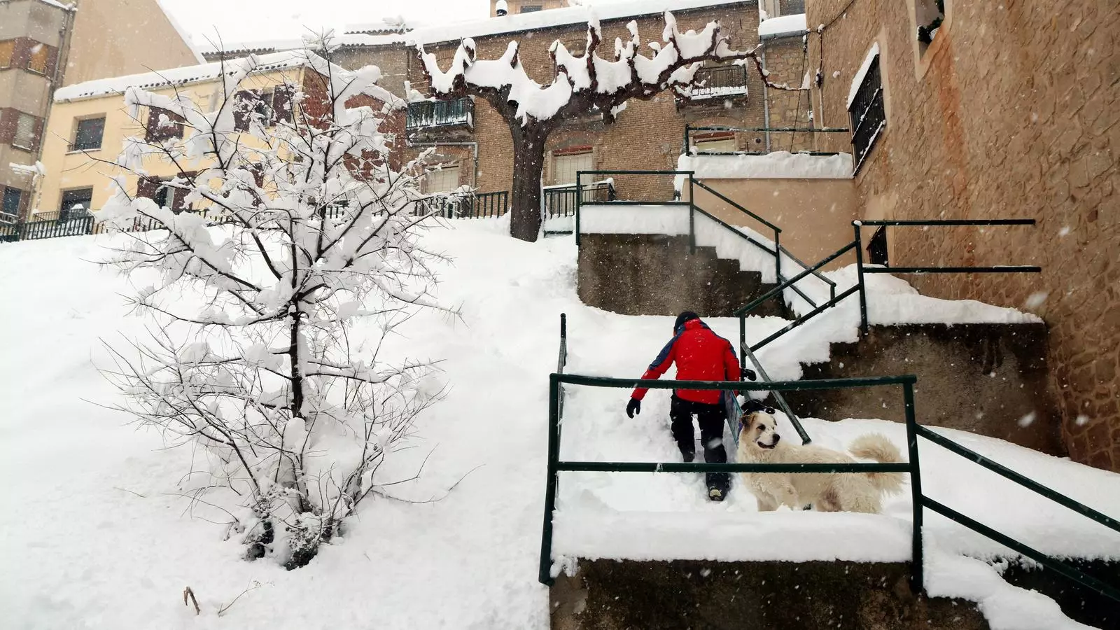 Pla general d'un home i un gos pujant les escales nevades d'Horta de Sant Joan.