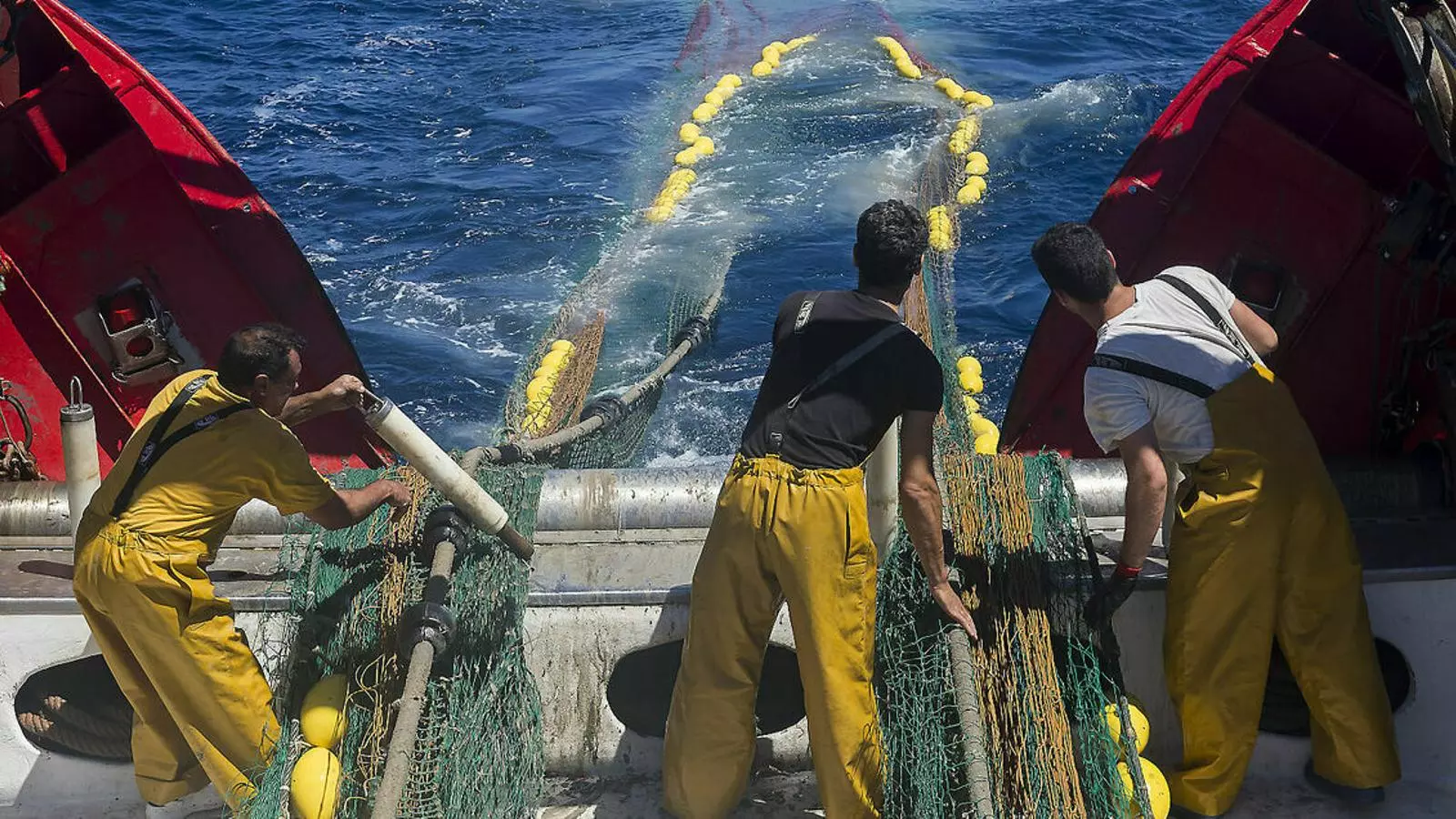 Treballadors en acció en una barca de pesca. / MARC ROVIRA GETTY
