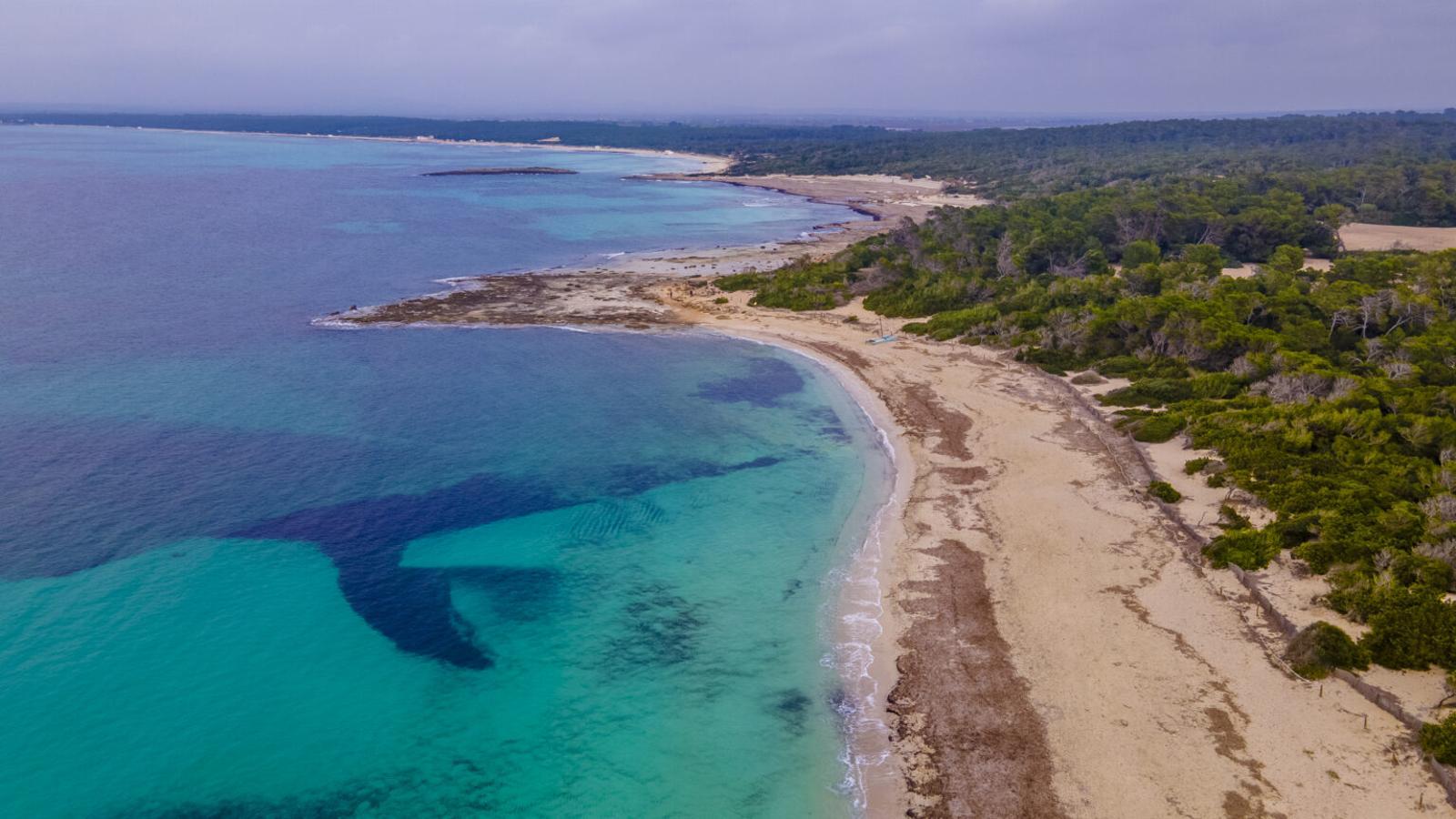 Parc Natural del Trenc