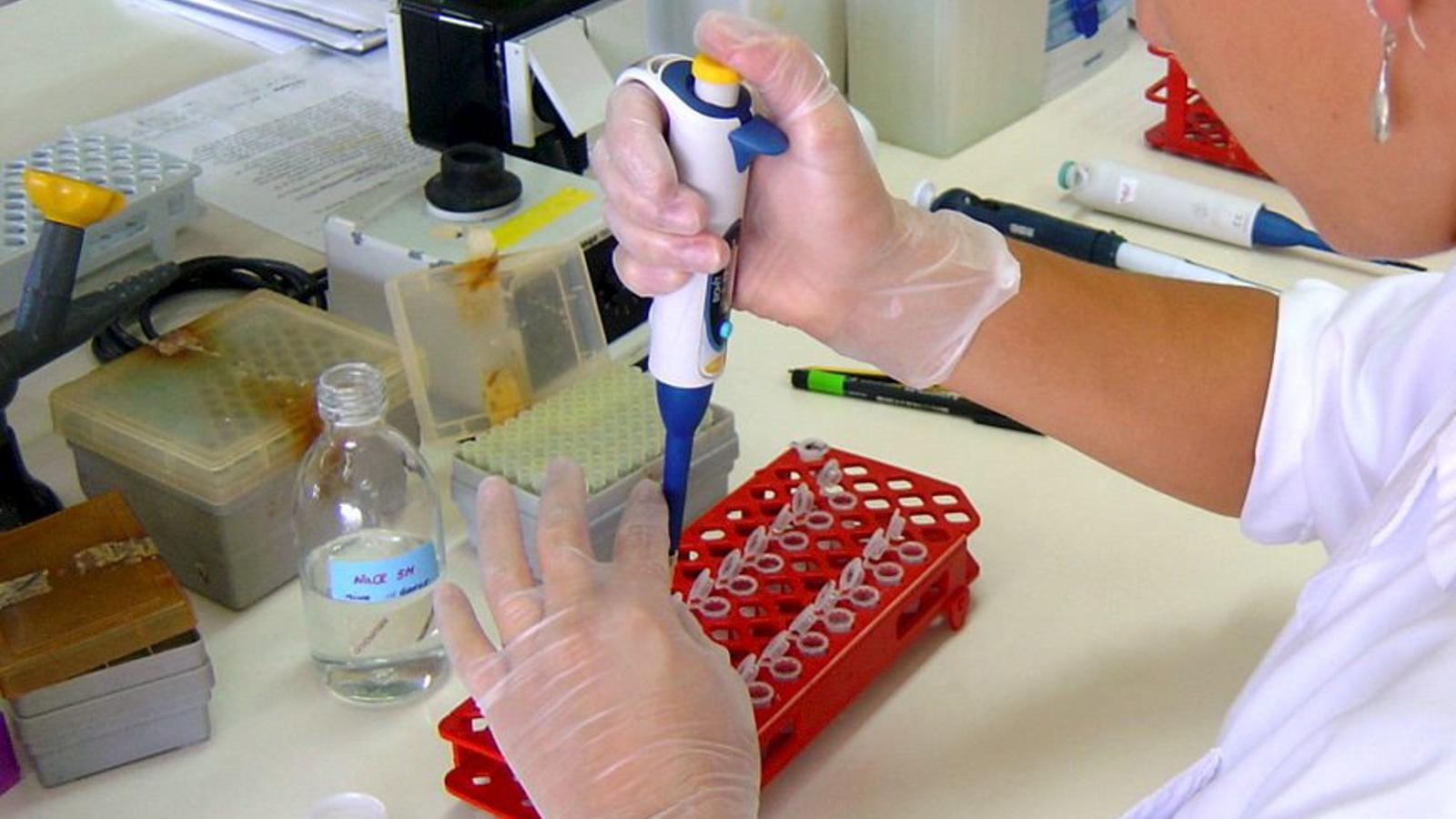 Forschung an der UIB.