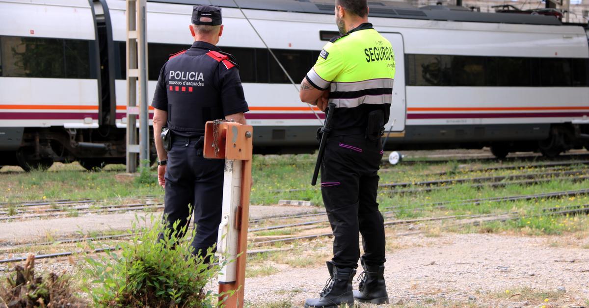 Restablert el servei les línies R4 i R12 de Rodalies per un ...