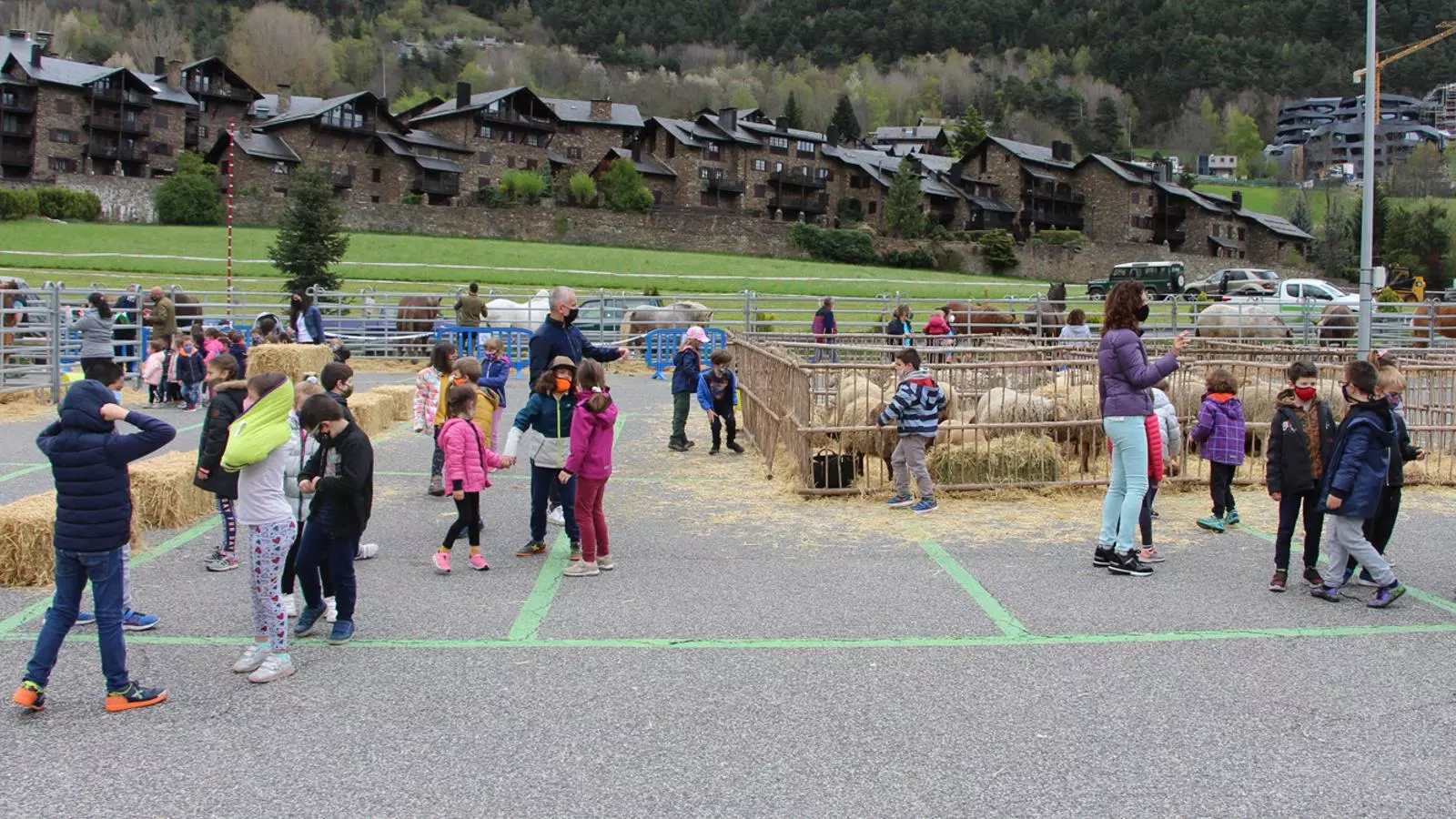 La fira del bestiar d'Ordino durant la visita dels centres escolars.