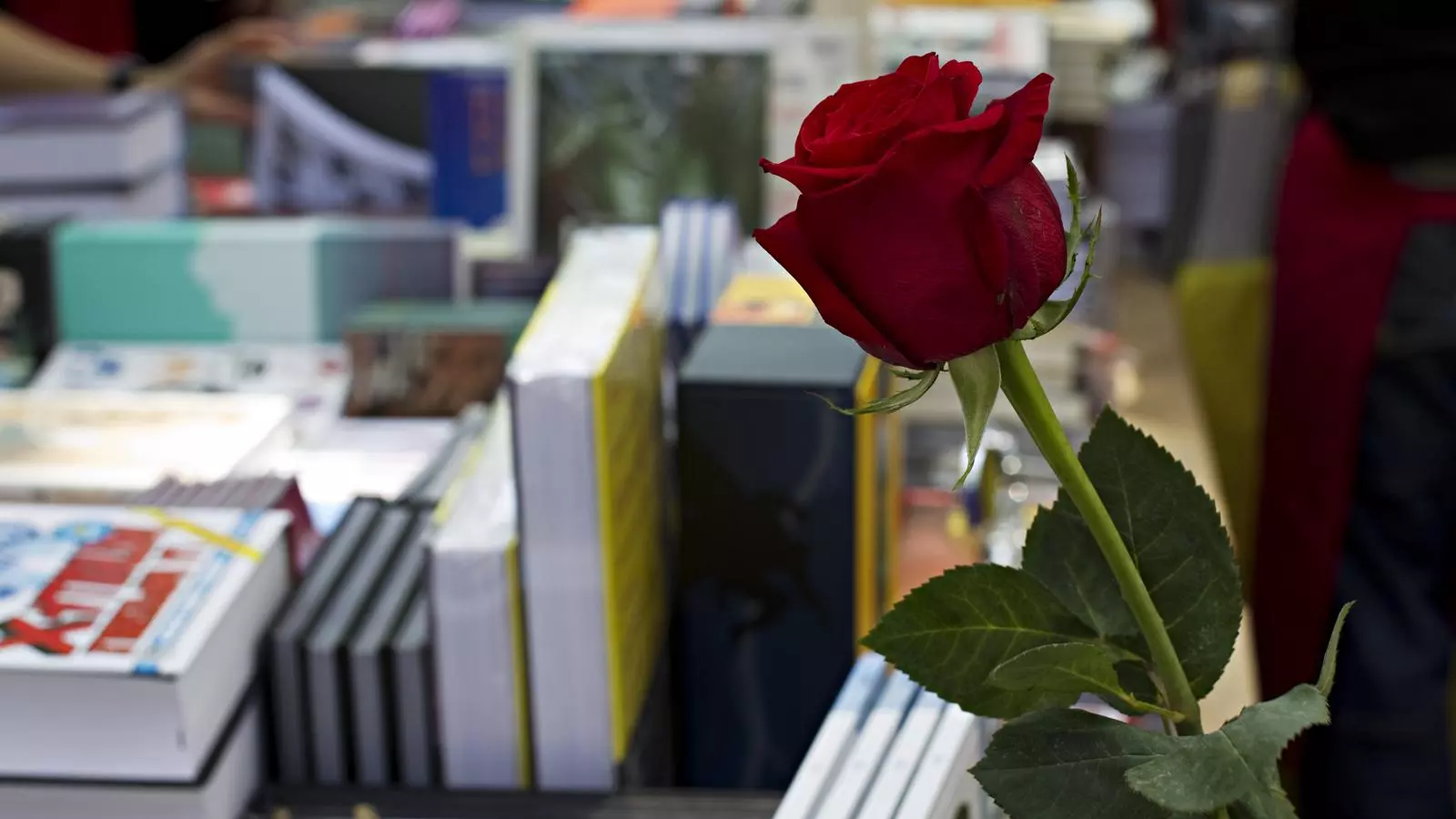 Una foto d'arxiu de Sant Jordi