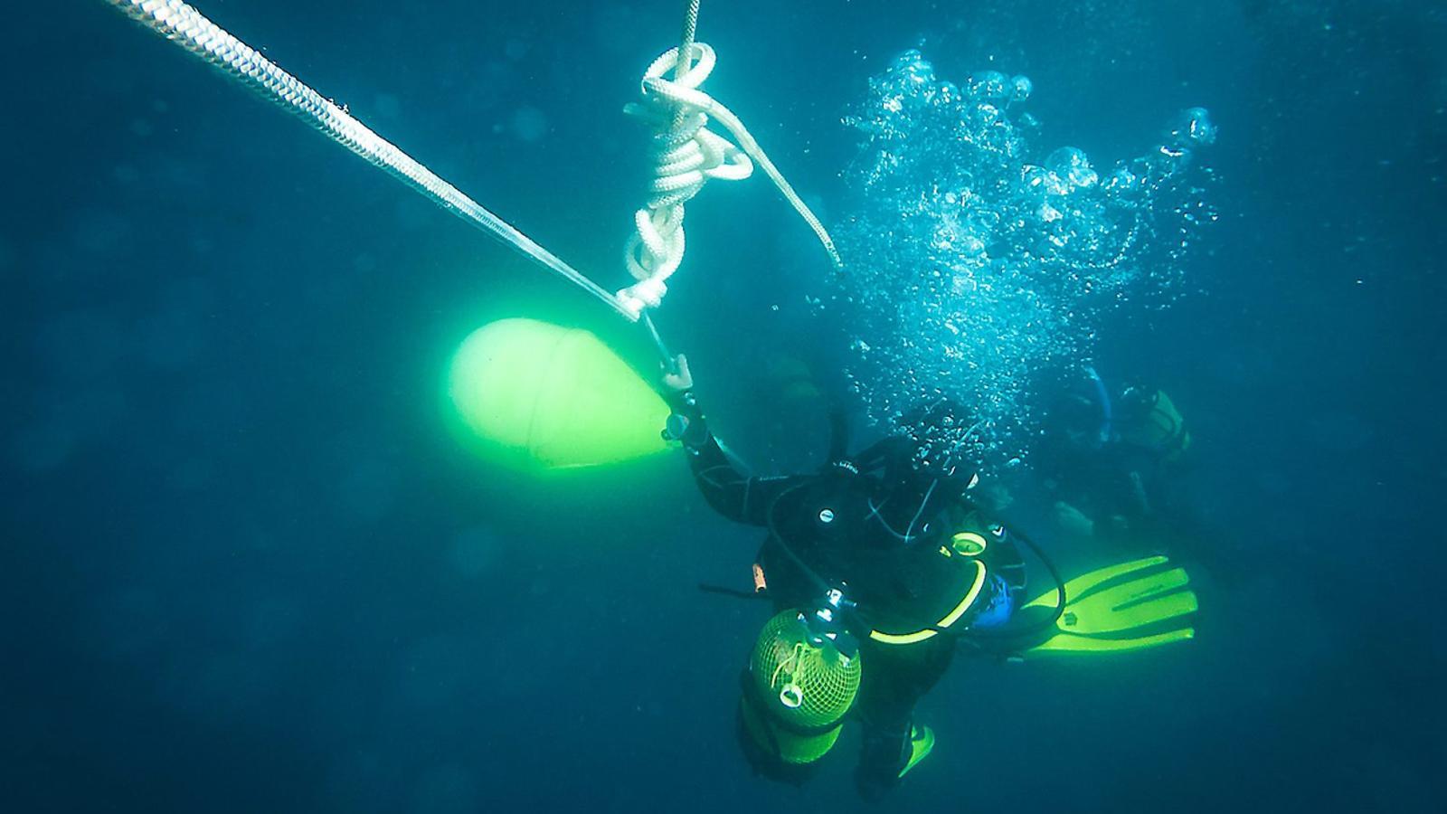 The dives attract divers from all over.
