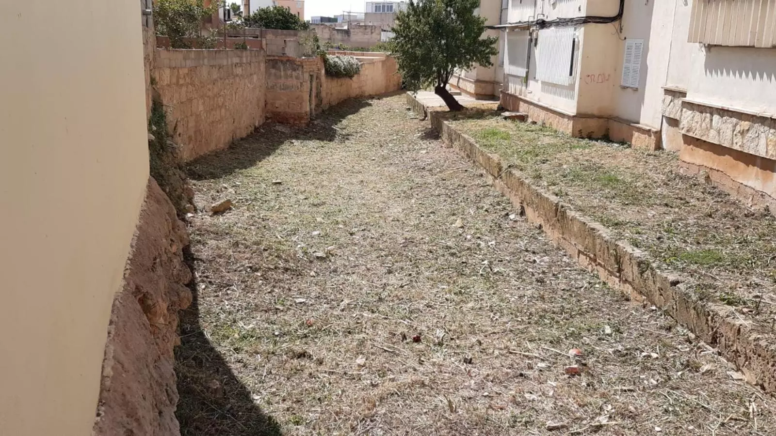 Un torrent urbà netejat per l'Ajuntament de Palma.