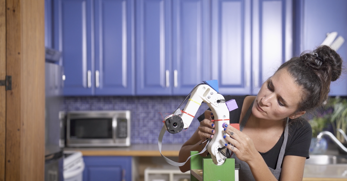 あなたが年老いて働けるようになったときに、あなたの世話をしてくれるロボットをどう望みますか?