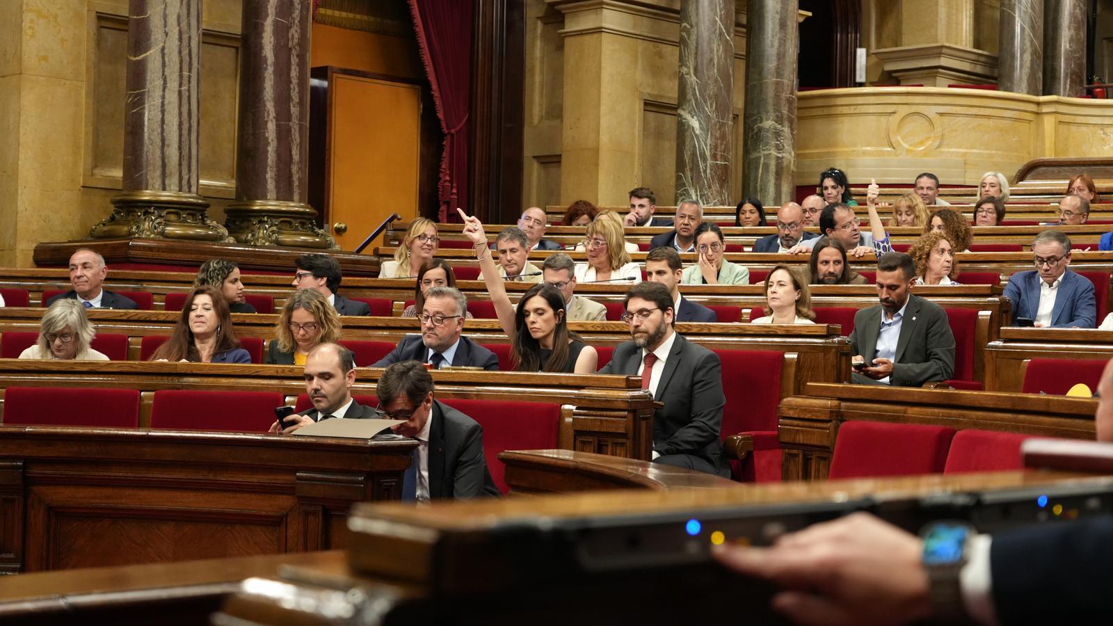 Voting in the plenary session of Parliament.