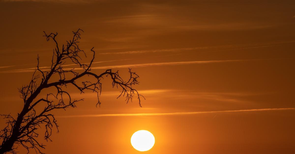 Pic tòrrid amb possibles rècords de calor entre dijous i divendres