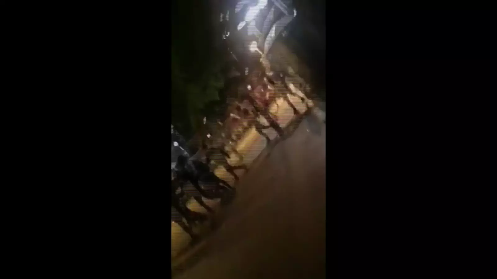 Baralla a la zona del llac del Parc Catalunya de Sabadell amb llançament d'objectes i crits contra la policia