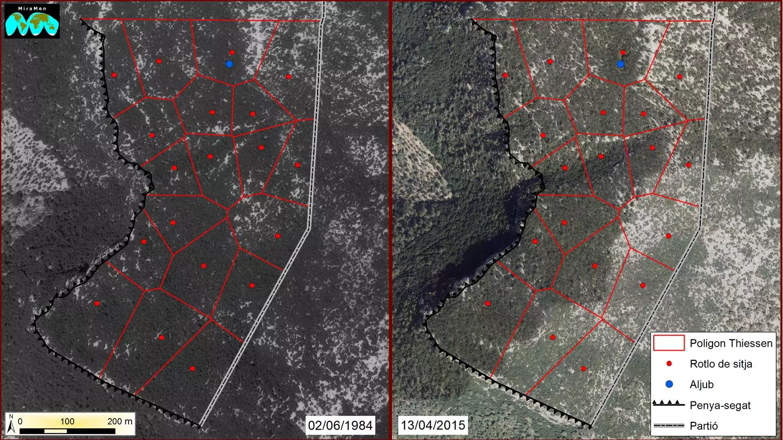 Figura 1: Distribució espacial de rotlos de sitja a un sector de la mola de na Ferrana. / J. BAUZÀ A PARTIR D'ORTOFOTOS IGN