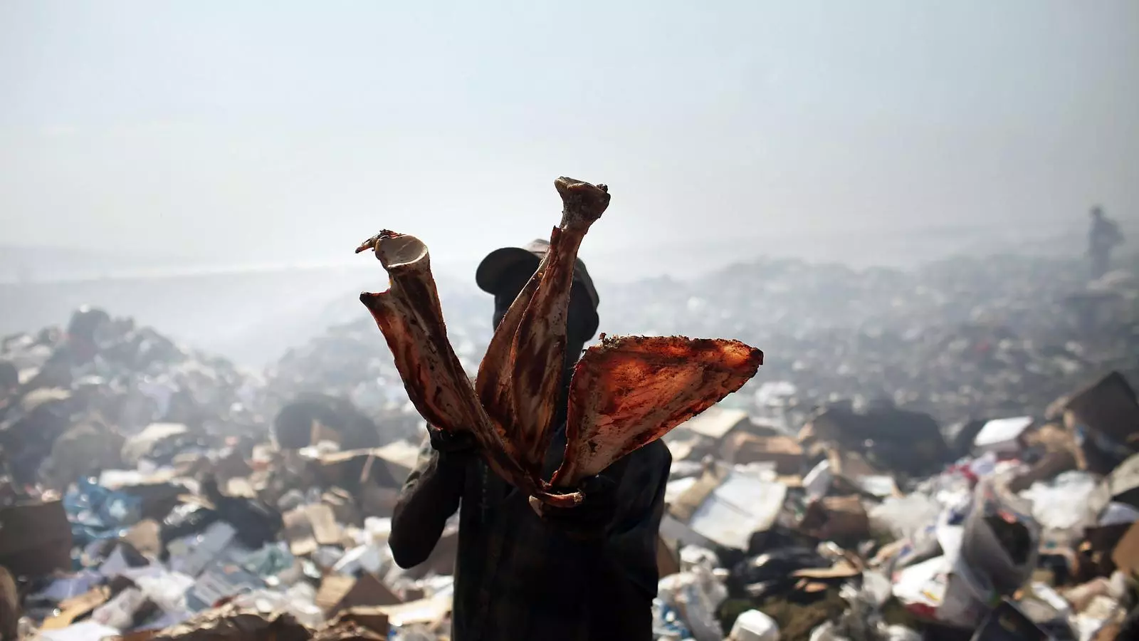 Una persona buscant restes animals en un abocador