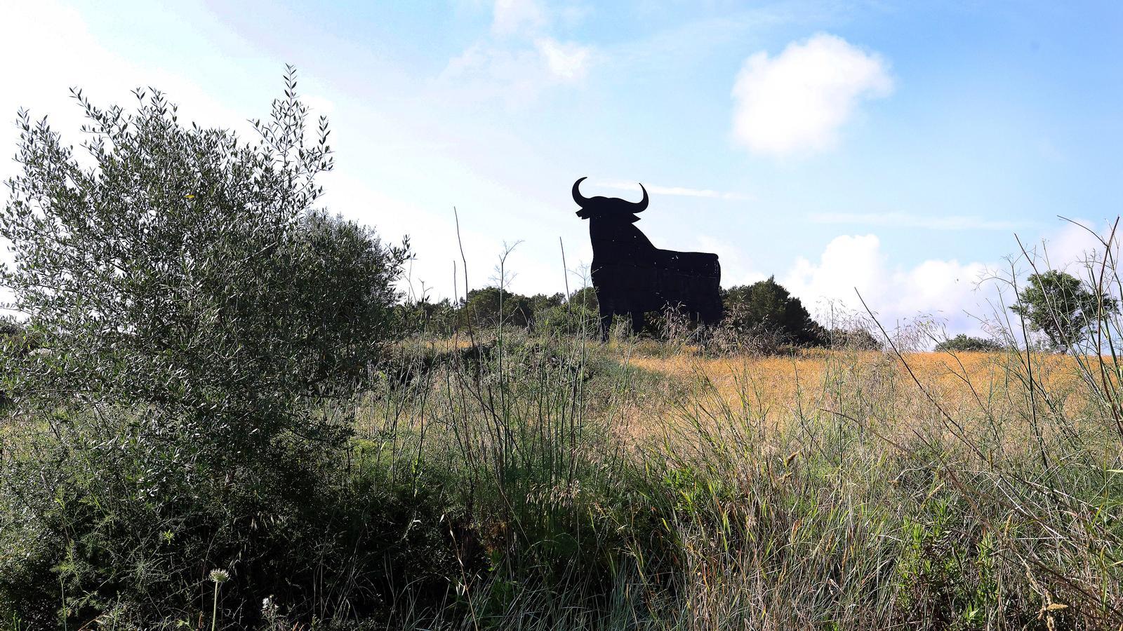 Der Stier von Oborne, in Montuïri