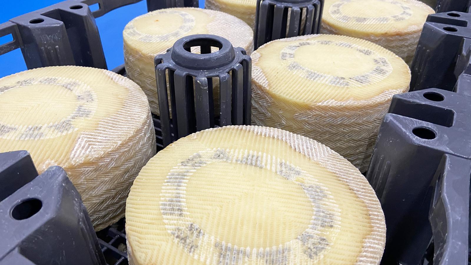 Formatges en producció