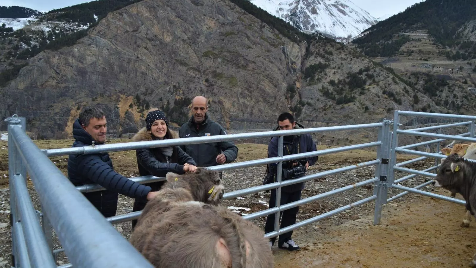 Objectiu Comú en la visita a una explotació ramadera de Canillo. / OBJECTIU COMÚ