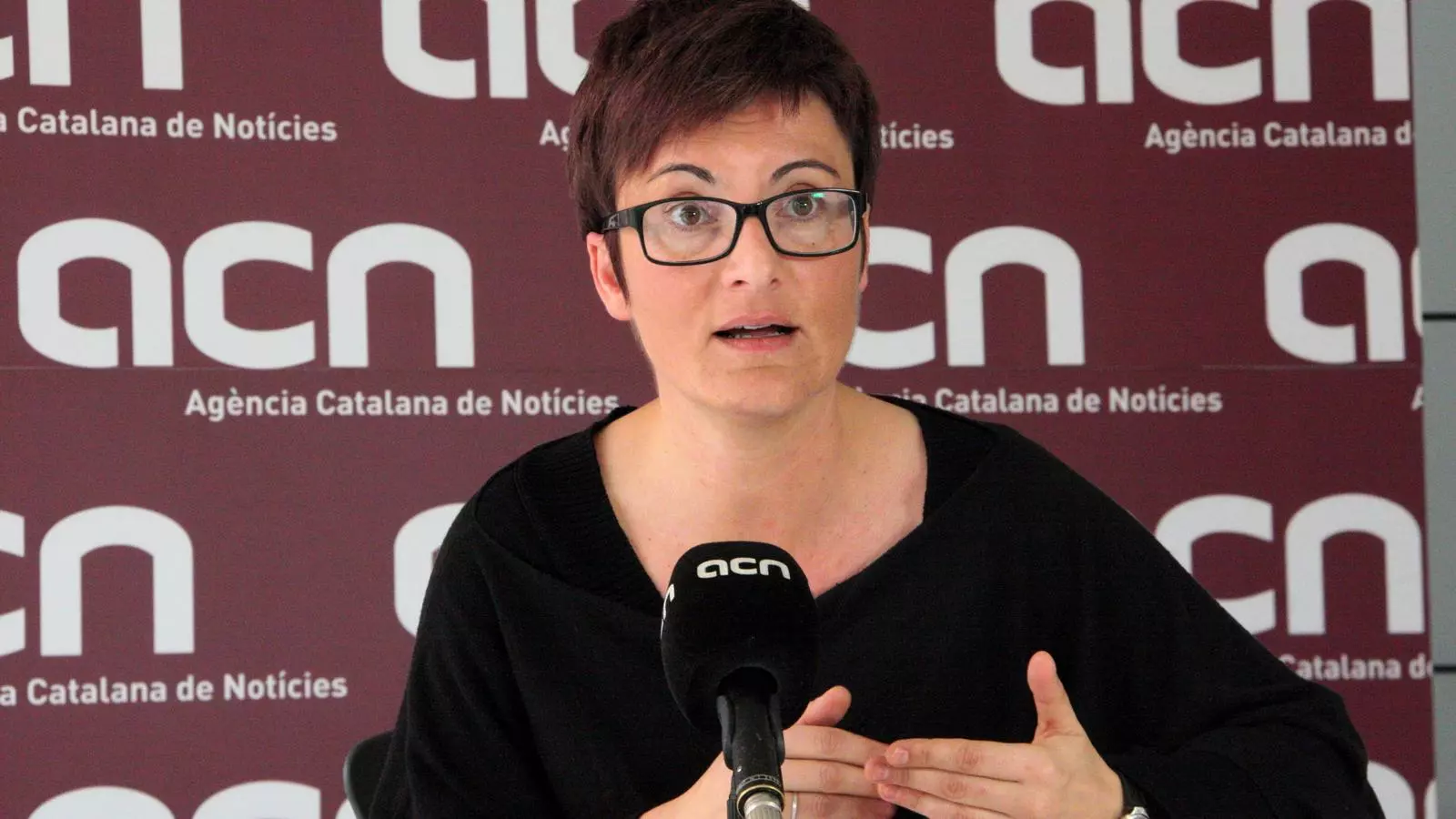 La coordinadora nacional d'ICV, Marta Ribas / ACN