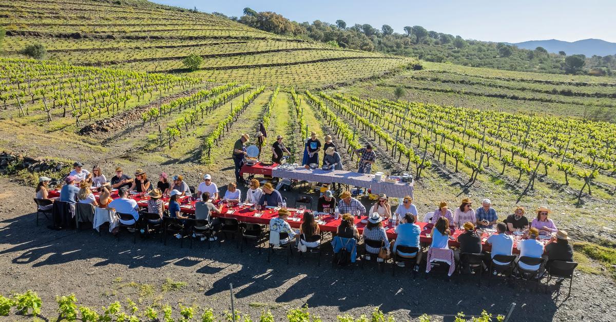 Las mejores propuestas para disfrutar del vino y la naturaleza en el Festival Vívid