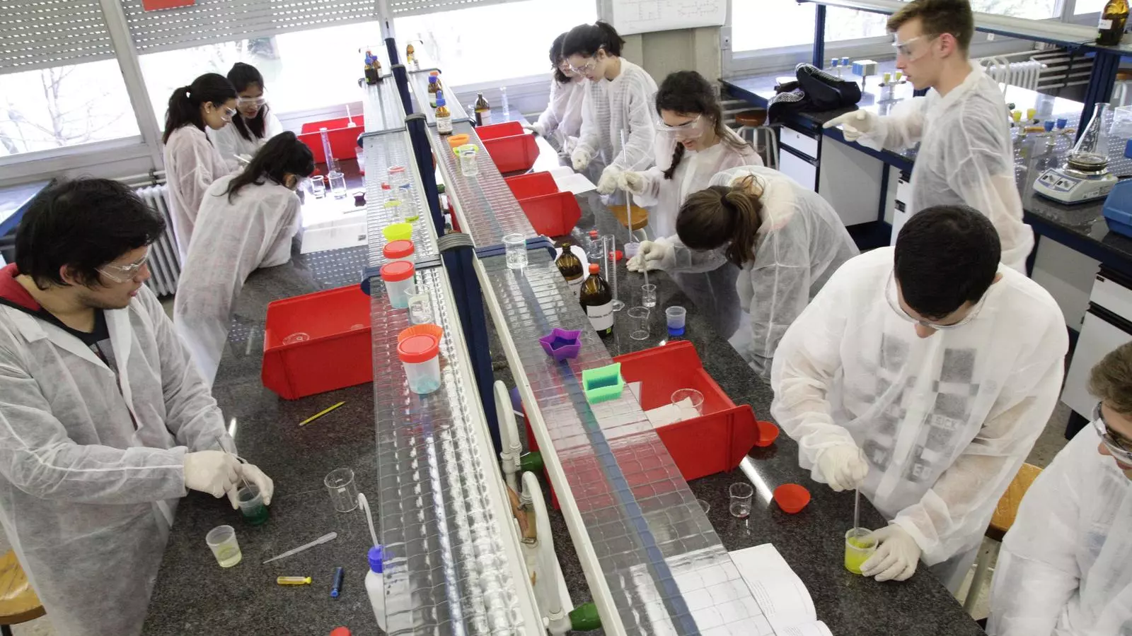El programa els permet conèixer l’entorn formatiu i professional de la UAB