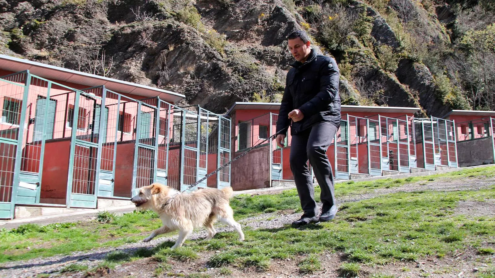 El candidat liberal, Jordi Gallardo, durant la visita a la gossera i gatera nacionals. / C. G.