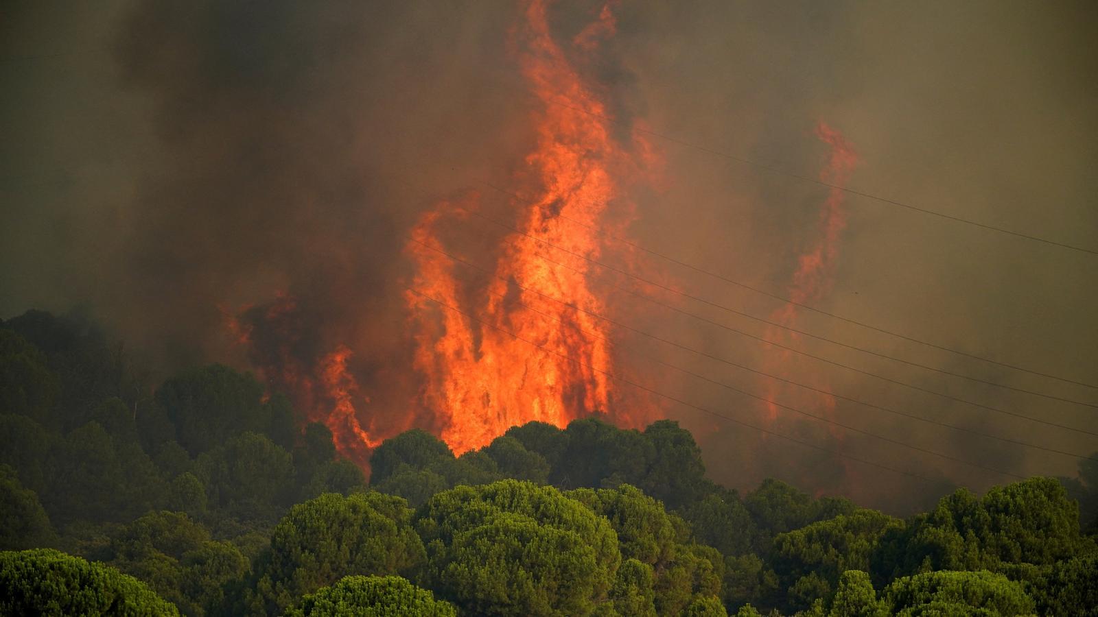 A flare-up in the forest fire of San Martín de Valdeiglesias in Ávila.