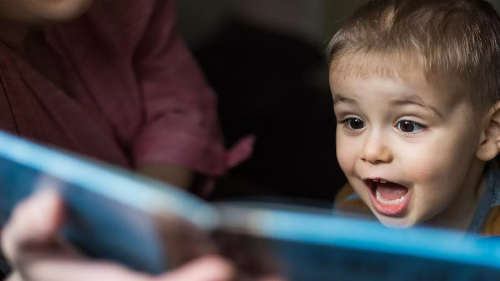 Contacontes virtuals i activitats sorgides de contes, dues de les propostes per fer a casa