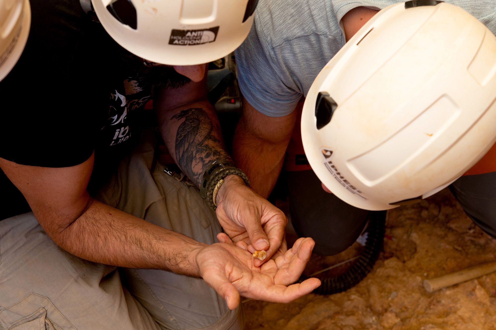 Un infant decapitat: noves proves de canibalisme a Atapuerca