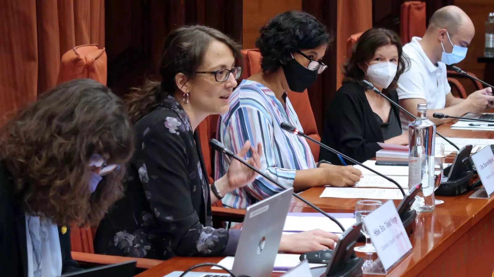 La consellera Verge, la segona per l'esquerra, en la compareixença en comissió al Parlament