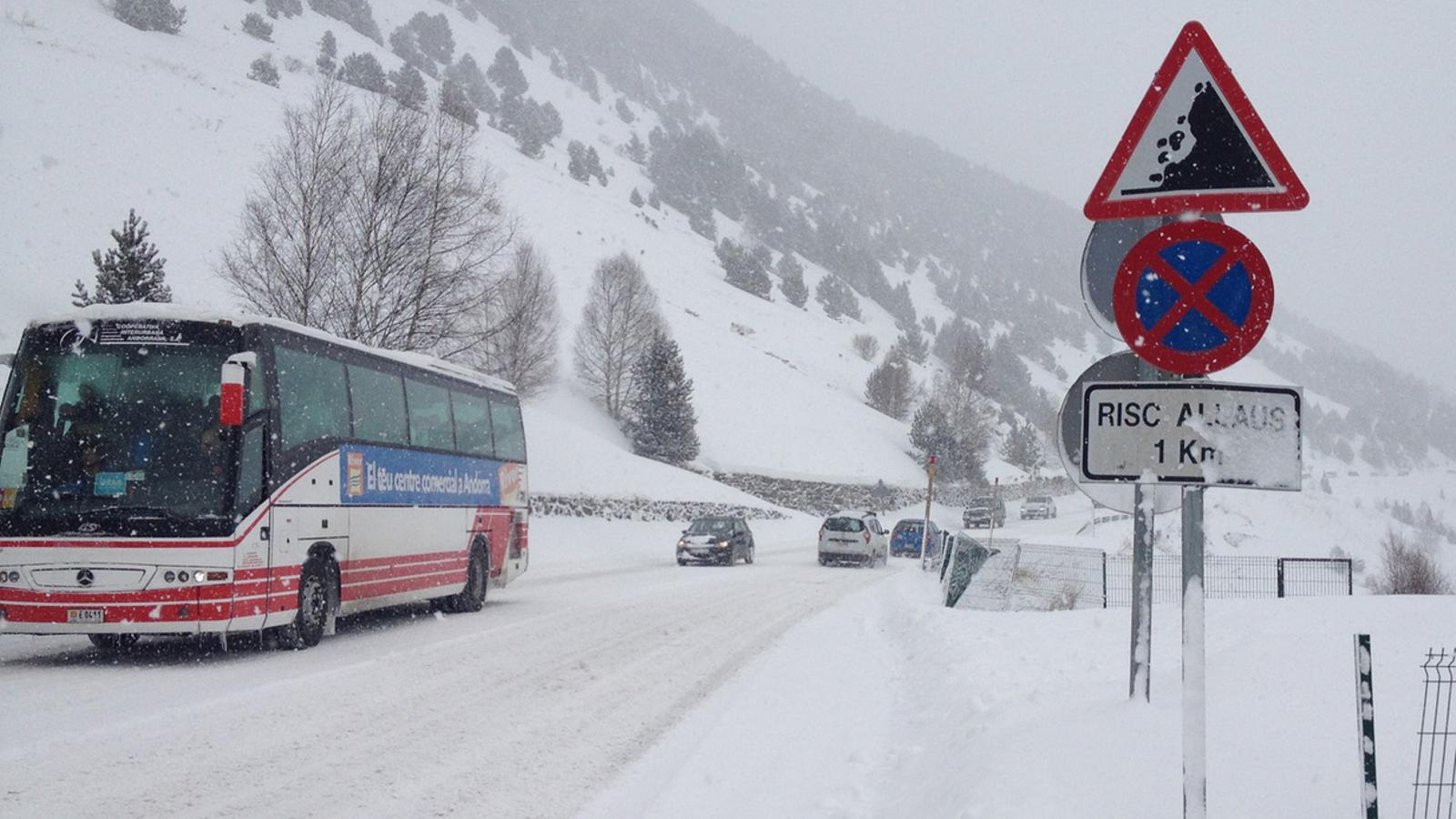 Zona de l'allau de Soldeu / M.T.