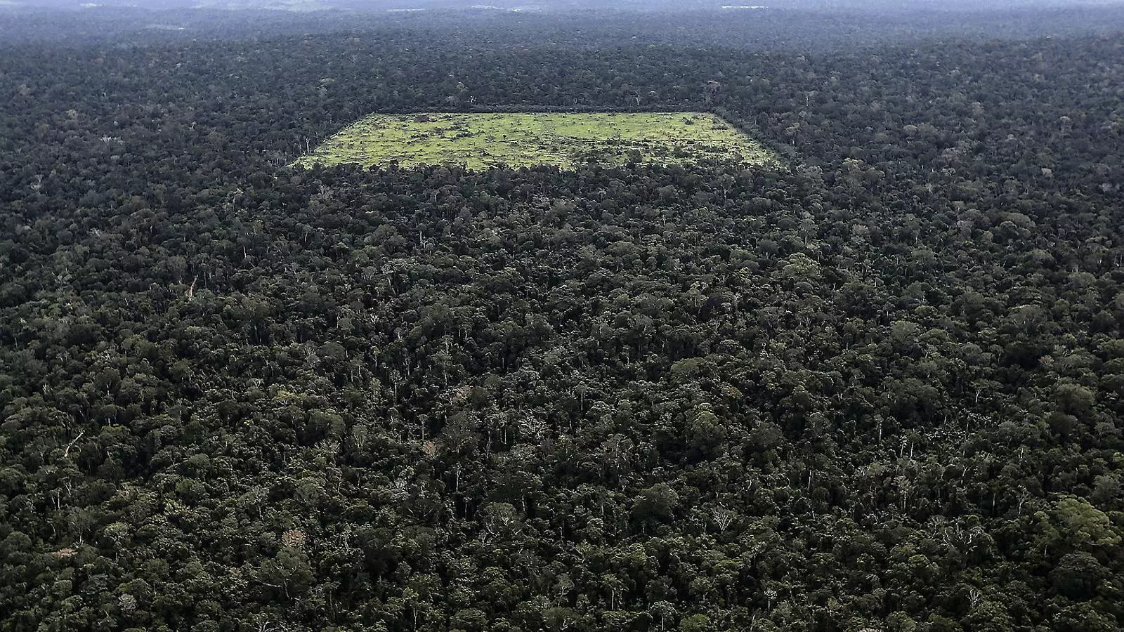 Vista aèria d’un tros de selva amazònica desforestada el 2013. Ara, amb l’arribada de Bolsonaro, es tem que es pugui accelerar aquest procés.