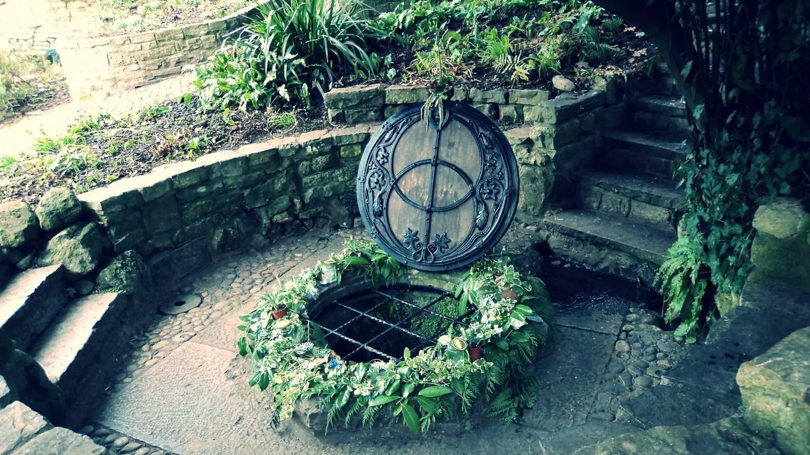La jardineria, meditació activa