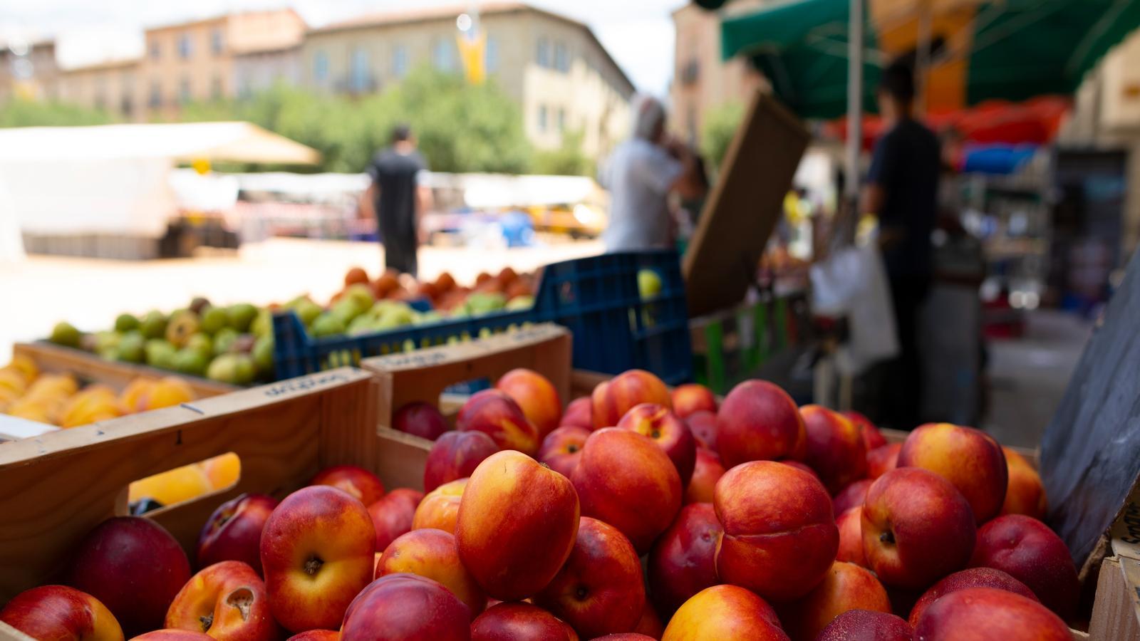 Nectarines in a farmer's market in Manlleu, Osona