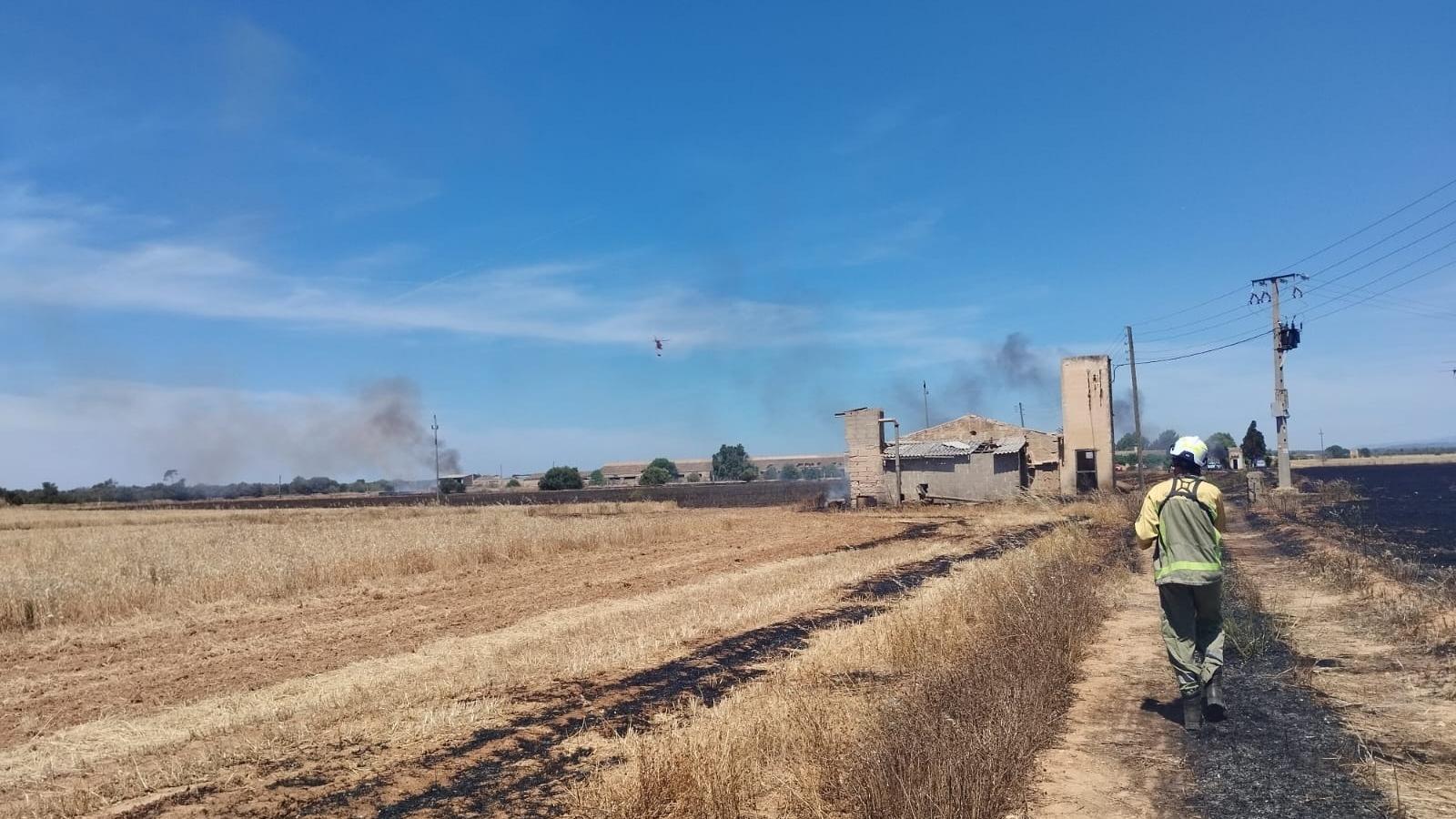 Landwirtschaftlicher Brand