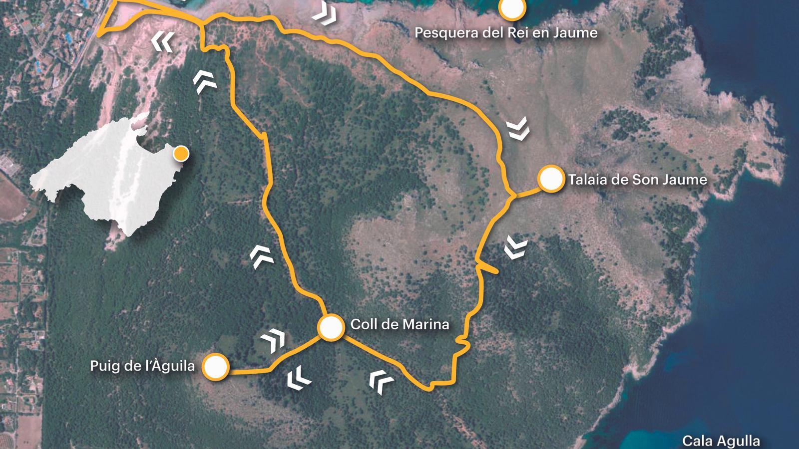 The route of the week