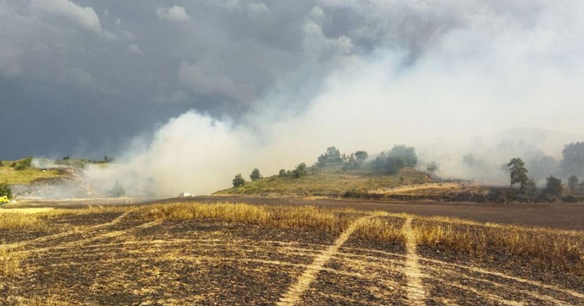 Segarra Fire: Noguera Neighbors Confined, Fire Under Control