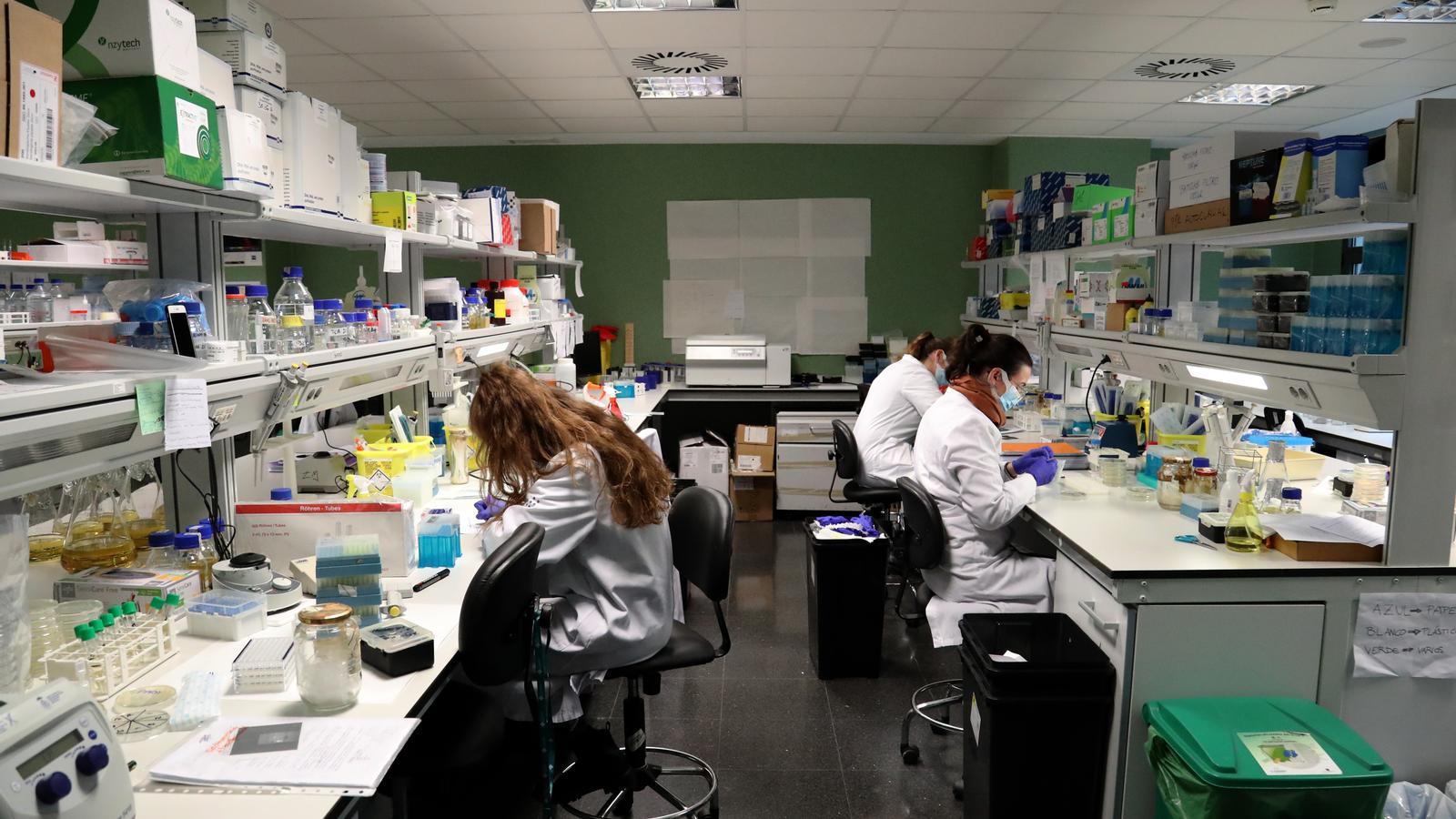 Laboratori, Son Espases, Hospital, Recerca, Idisba