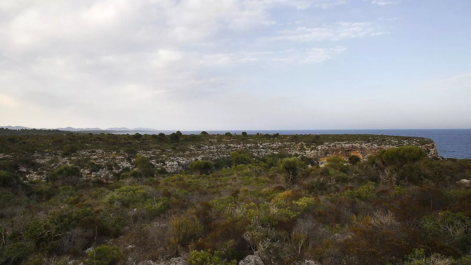 Dos germans britànics acumulen 900 hectàrees de Mallorca