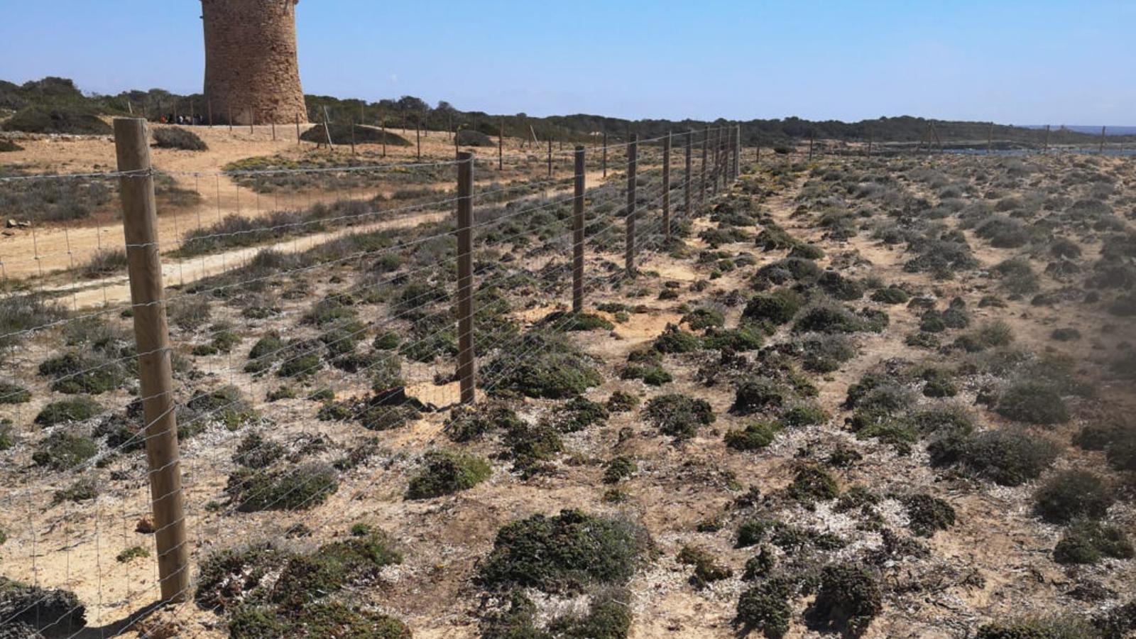 La finca de s’Estalella.
