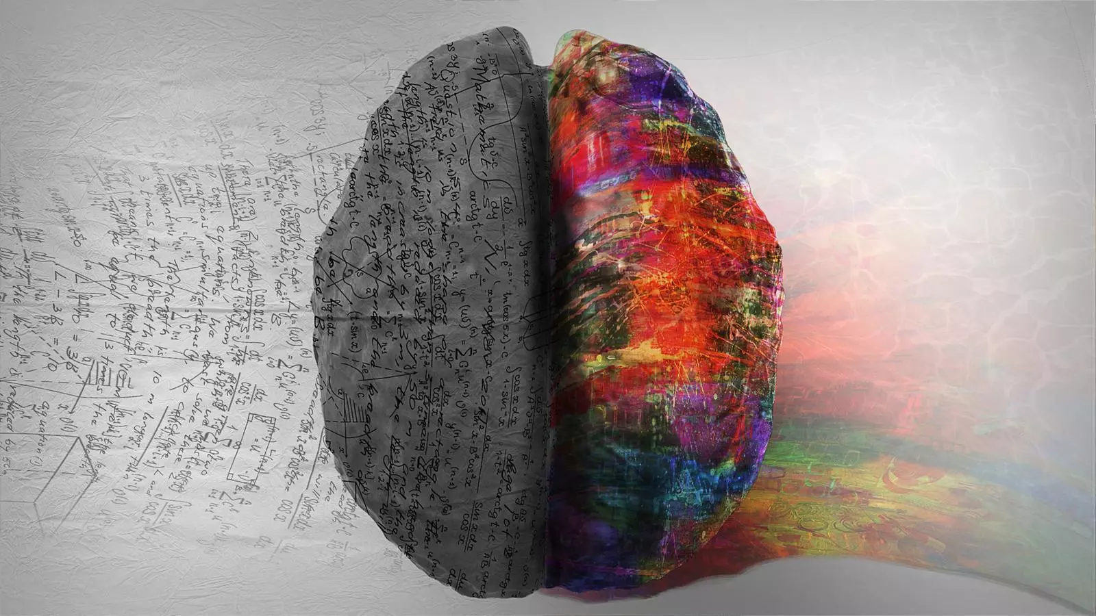 Una il·lustració d'un cervell humà
