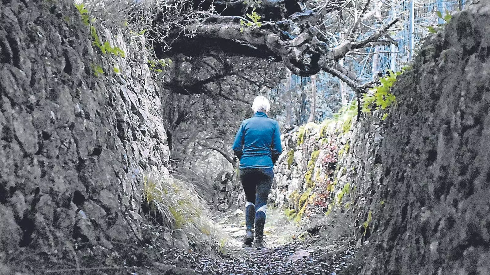 El camí vell de Valldemossa a Bunyola és una mostra més de l'espectacular bellesa de la Ruta de Pedra en Sec.