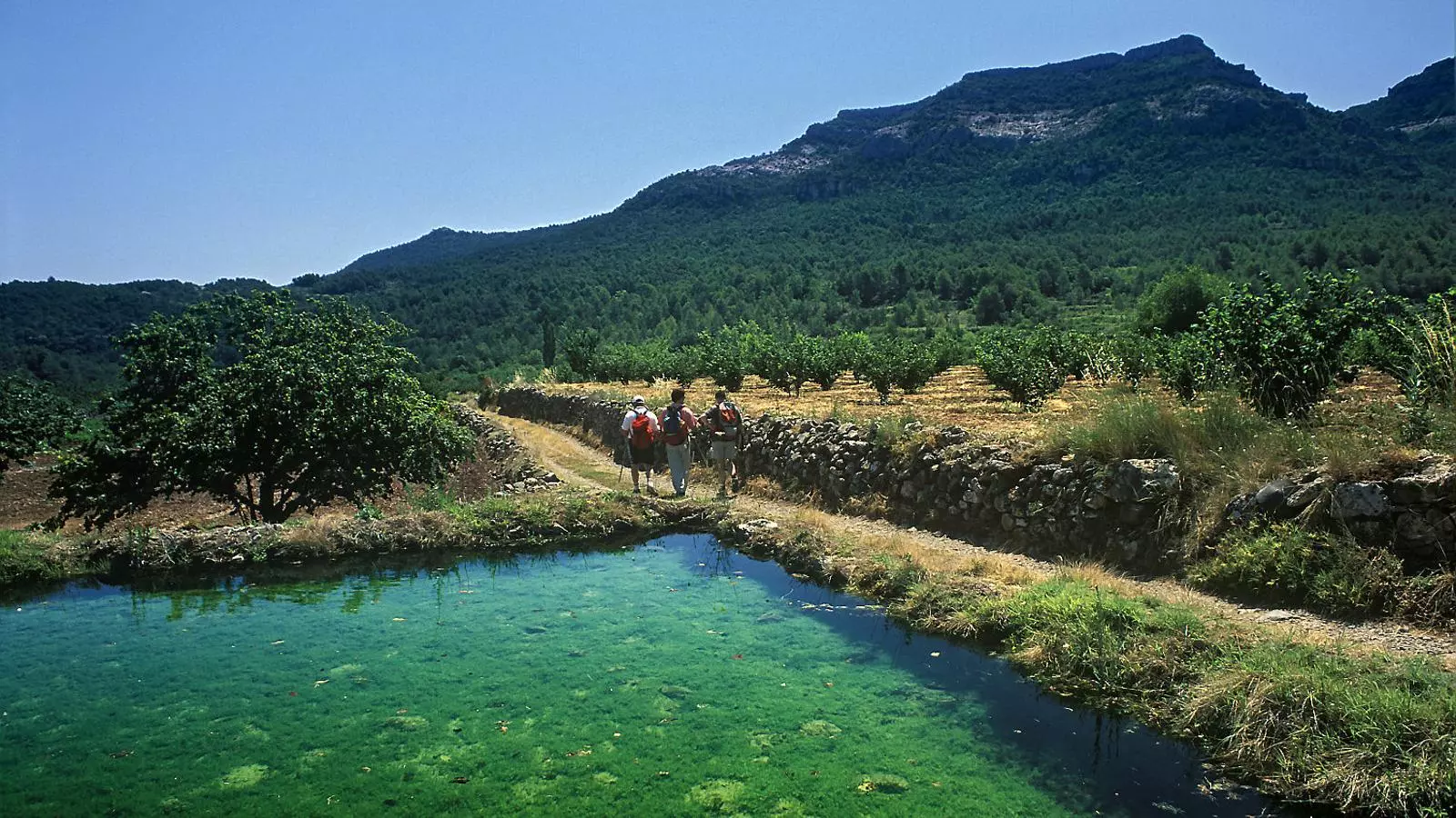 La ruta us permetrà pujar diversos cims (01), endinsar-vos per rius i congostos (02), descobrir ermites enmig de la muntanya (03) i travessar camps de cultiu (04).