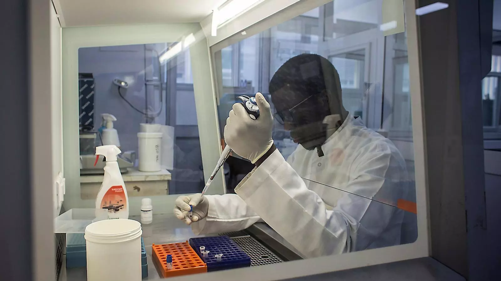 Un científic treballant en proves de cribatge del Covid-19 en un laboratori.