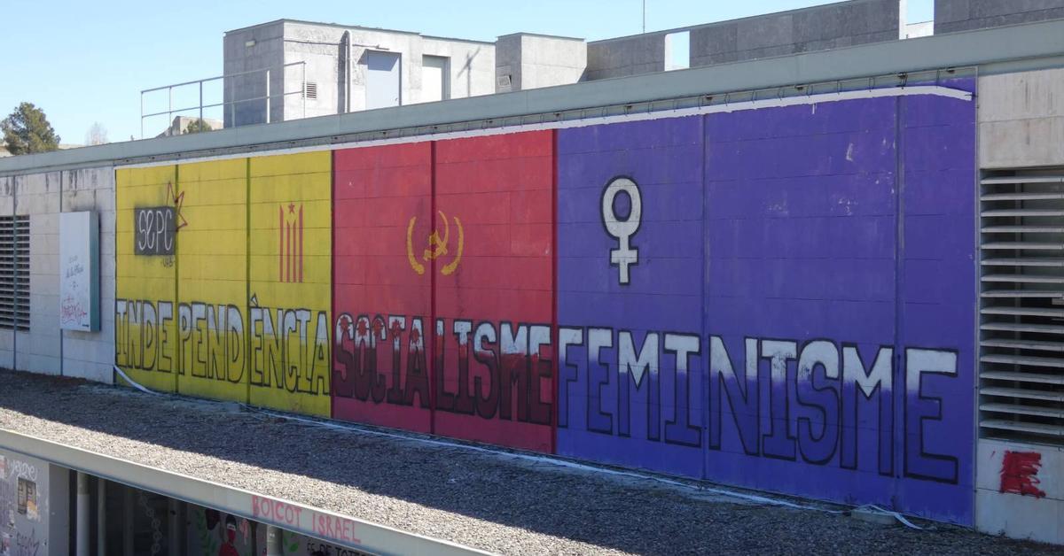 El rectorat de la UAB ha esborrat el mural històric que l'esquerra independentista va pintar fa més de tretze anys a la plaça Cívica. Per què? Tot prové d'una denúncia de l’organització espanyolista Impulso Ciudadano
