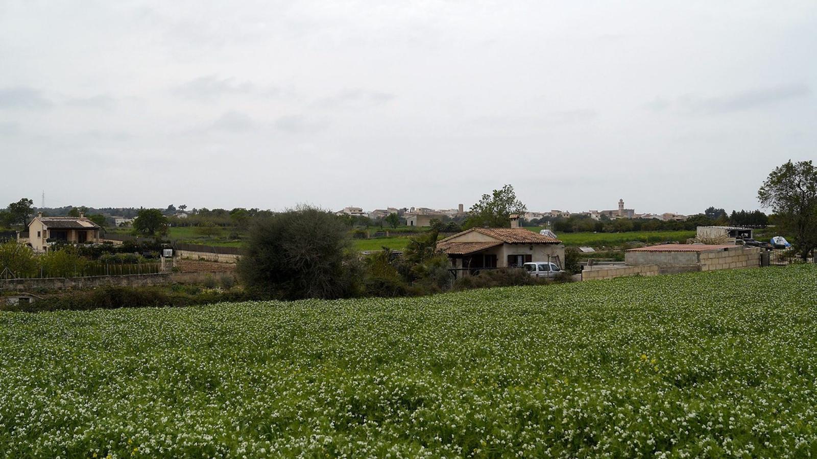 The reform of the Agrarian Law aims to guarantee the viability of the sector during the next years.