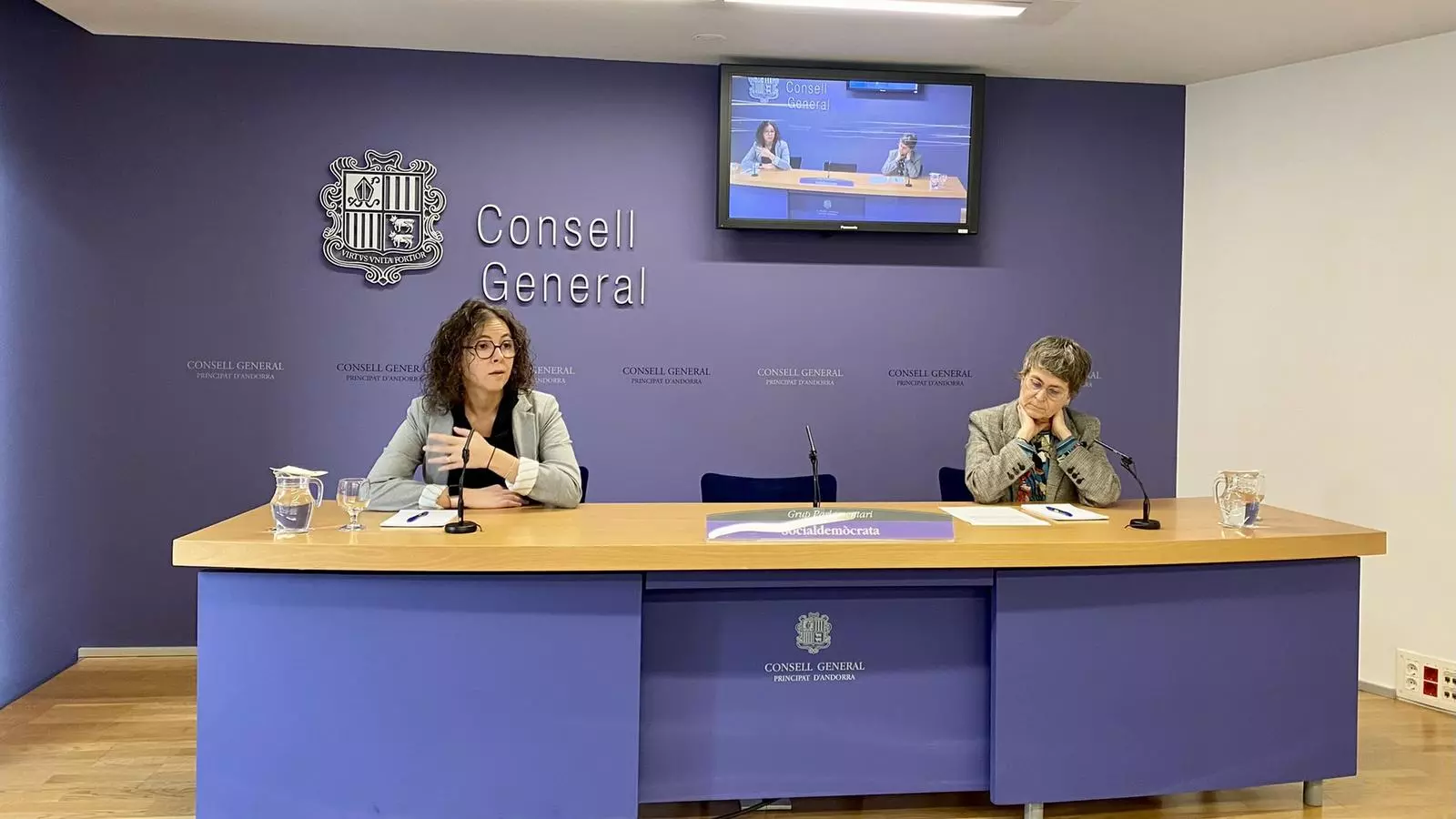 Les consellers Salazar i Vela, aquest dimarts al Consell General.