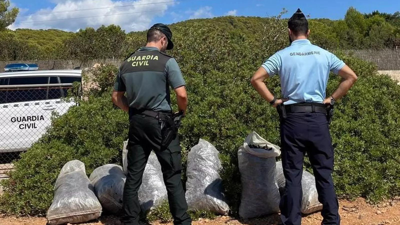 Els agents que van interceptar les garroves robades.