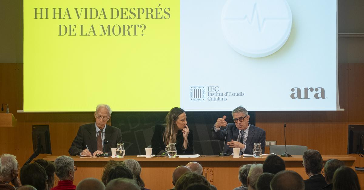 Brain Transplant: Identity & Body Swap Questions