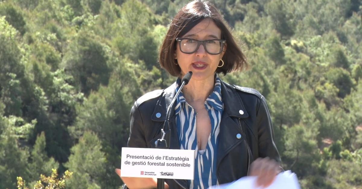 ERC no condiciona els pressupostos a la dimissió de Trapero: 