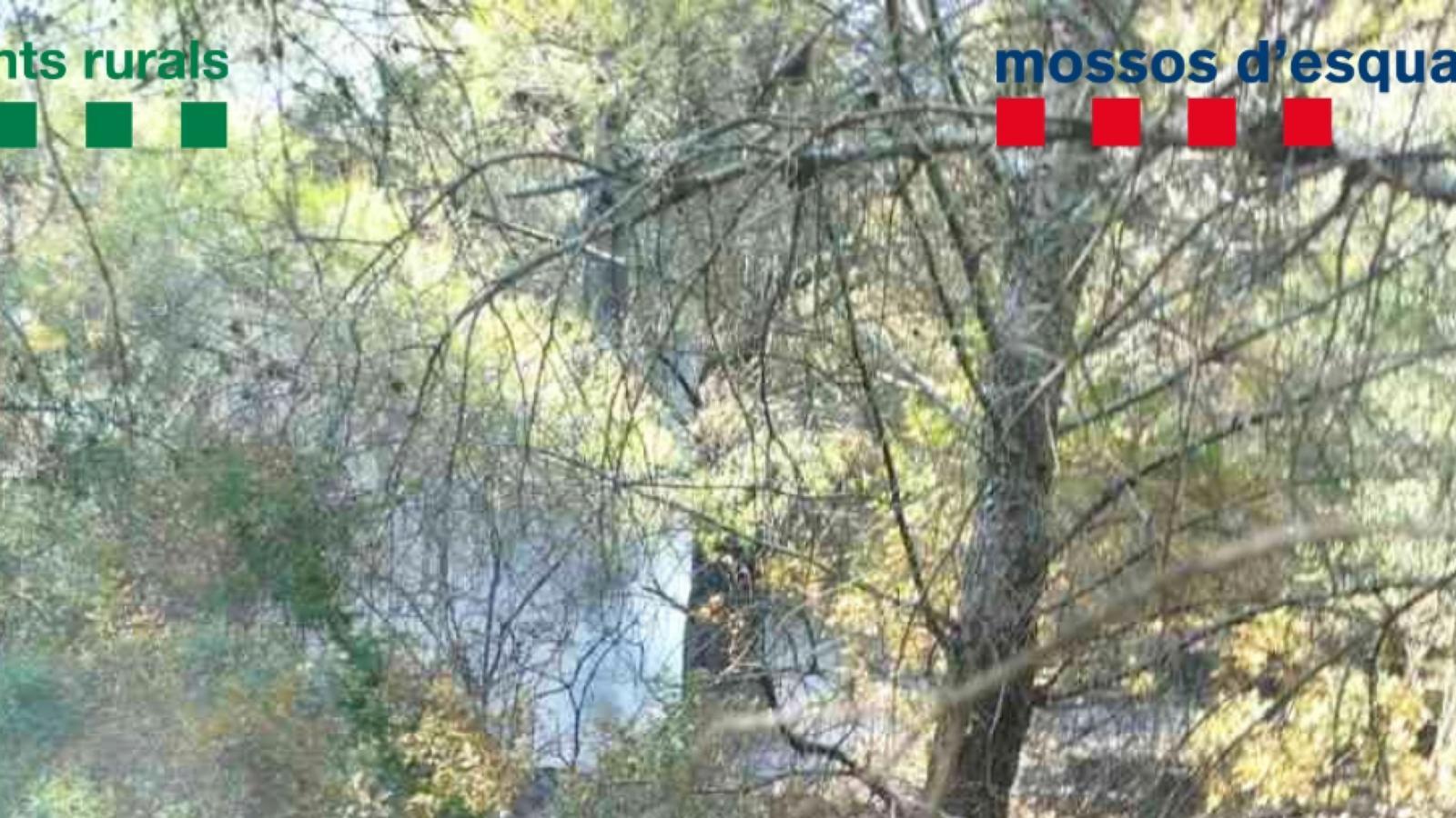 The point from which the Llançà fire started