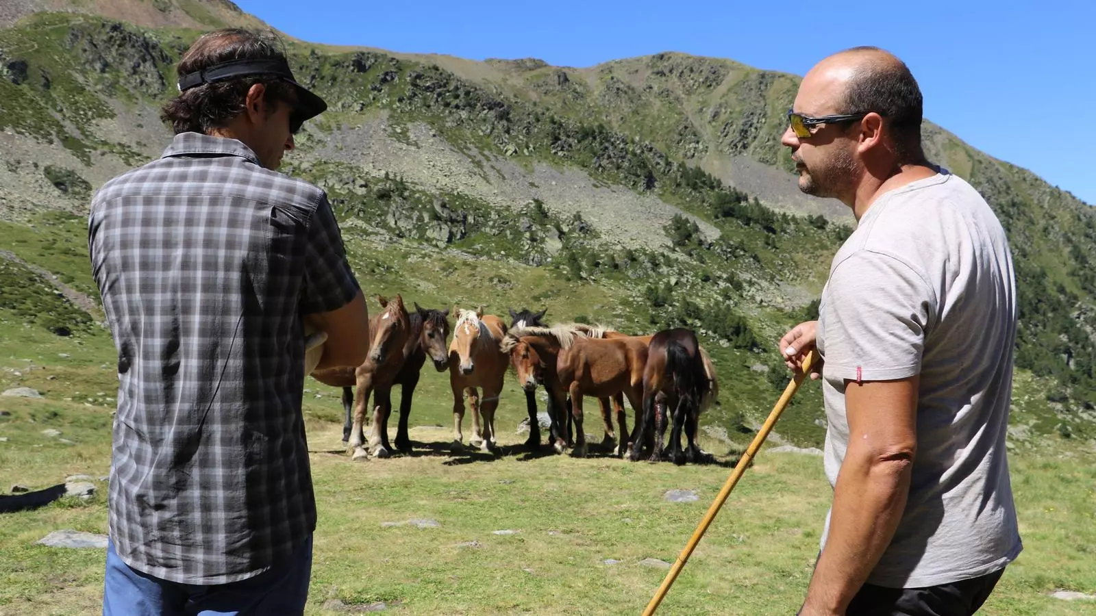 Els pastors que han participat en la primera ruta guiada sobre ramaderia de muntanya organitzada pel comú d'Ordino. / E. C. (ANA)